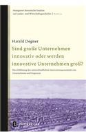 Sind Grosse Unternehmen Innovativ Oder Werden Innovative Unternehmen Gross?: Eine Erklarung Des Unterschiedlichen Innovationspotentials Von Unternehmen Und Regionen(19 Stuttgarter Historische Studien Zur Landes- Und Wirtschaftsg)