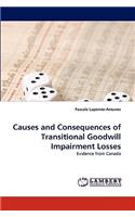 Causes and Consequences of Transitional Goodwill Impairment Losses