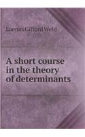 A Short Course in the Theory of Determinants: (English)