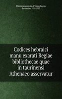 Codices hebraici manu exarati Regiae bibliothecae quae in taurinensi Athenaeo asservatur
