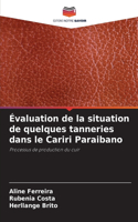 Évaluation de la situation de quelques tanneries dans le Cariri Paraibano