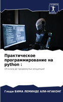 &#1055;&#1088;&#1072;&#1082;&#1090;&#1080;&#1095;&#1077;&#1089;&#1082;&#1086;&#1077; &#1087;&#1088;&#1086;&#1075;&#1088;&#1072;&#1084;&#1084;&#1080;&#1088;&#1086;&#1074;&#1072;&#1085;&#1080;&#1077; &#1085;&#1072; python