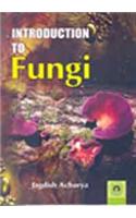Introduction to Fungi