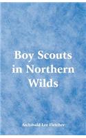 Boy Scouts in Northern Wilds