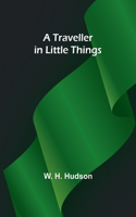 Traveller in Little Things