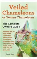 Veiled Chameleons or Yemen Chameleons as pets. info on baby veiled chameleons, female veiled chameleons, chameleon cage setup, breeding, colors, facts, food, diet, life span, size.