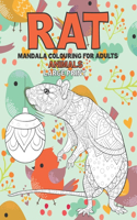 Mandala Colouring for Adults - Animals - Large Print - Rat