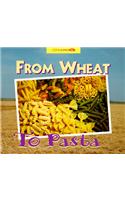 From Wheat to Pasta