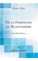 De la Formation du Blastoderme: Dans l'?uf d'Oiseau (Classic Reprint)