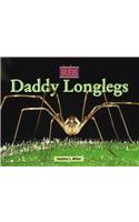 Daddy Longlegs: (Bugs)