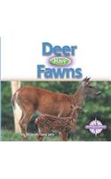 Deer Have Fawns