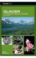 Glacier: A Natural History Guide