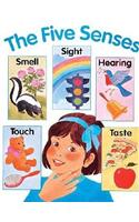 The Five Senses
