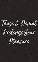 Tease and Denial Prolongs Your Pleasure