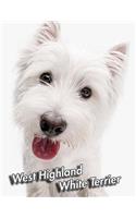 West Highland White Terrier: Blank Sheet Music 150 pages 8.5 x 11 in. 12 Staves Per Page Music Staff Composition Notation Songwriting Staff Manuscript