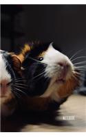 Guinea Pig Notebook