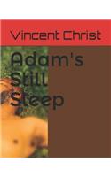 Adam's Still Sleep