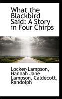 What the Blackbird Said: A Story in Four Chirps