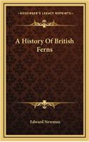 A History Of British Ferns