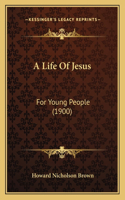 Life Of Jesus: For Young People (1900)