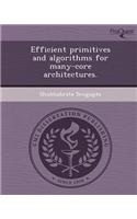 Efficient Primitives and Algorithms for Many-Core Architectures