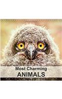Most Charming Animals 2017: Adorable Animals That Touch the Heart(Calvendo Places)