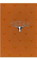 University of Texas at Austin Journal
