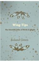 Wing-Tips - The Identification of Birds in Flight