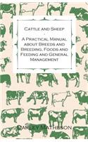 Cattle and Sheep - A Practical Manual about Breeds and Breeding, Foods and Feeding and General Management