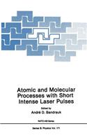 Atomic and Molecular Processes with Short Intense Laser Pulses