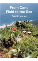 From Cane Field to the Sea