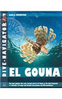 Dive-navigator El Gouna