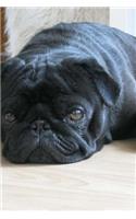 Precious Black Pug Dog Journal: 150 Page Lined Notebook/Diary