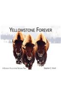 Yellowstone Forever
