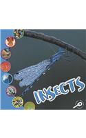Insects (Wiaa)