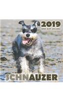 Schnauzer 2019 Mini Wall Calendar