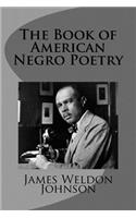 The Book of American Negro Poetry