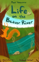 Life on the Beaver River