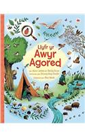 Llyfr yr Awyr Agored