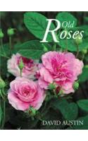 Old Roses