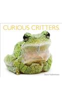 Curious Critters