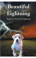 Beautiful Lightning