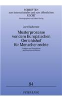 Musterprozesse VOR Dem Europaeischen Gerichtshof Fuer Menschenrechte
