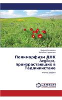 Polimorfizm Dnk Aegilops, Proizrastayushchikh V Tadzhikistane