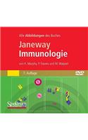 Janeway Immunologie