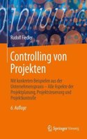 Controlling von Projekten