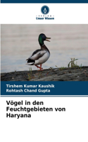 Vögel in den Feuchtgebieten von Haryana