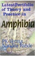 Latest Portfolio of Theory and Practice in Amphibia