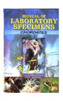 Manual of Laboratory Specimens-Chordates