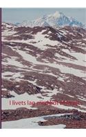 I livets lag med lidt af hvert: Søborgdreng årgang 1945